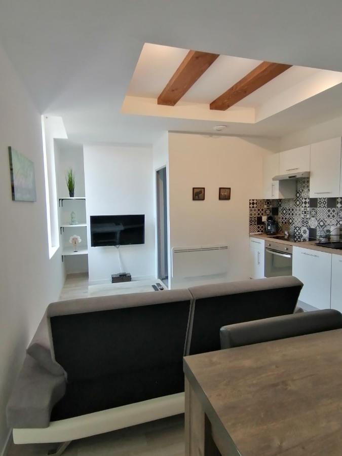 Appartement Jungle Zen Beau T2 Avec Jardin Gare 100M à Tonneins Extérieur photo