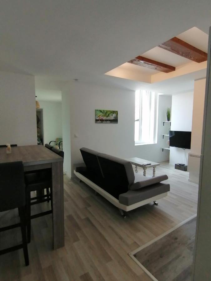 Appartement Jungle Zen Beau T2 Avec Jardin Gare 100M à Tonneins Extérieur photo