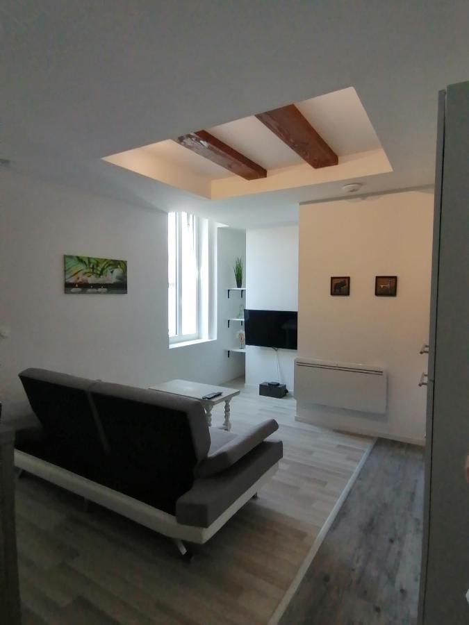 Appartement Jungle Zen Beau T2 Avec Jardin Gare 100M à Tonneins Extérieur photo