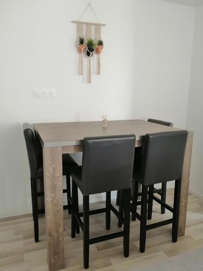Appartement Jungle Zen Beau T2 Avec Jardin Gare 100M à Tonneins Extérieur photo